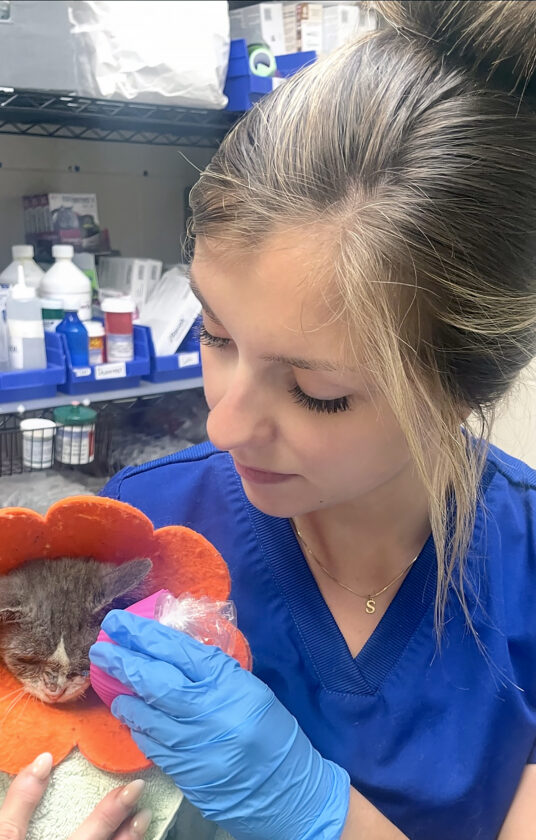 The importance of vaccinating
